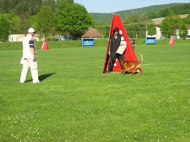 www.atibox.net * www.euroboxer.eu * www.boxergenealogia.eu